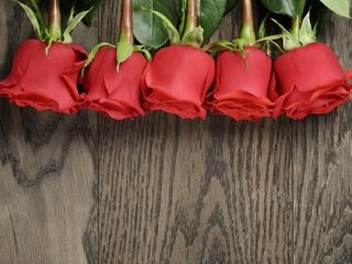 Обои цветы, розы, букет, красные розы, flowers, roses, bouquet, red roses разрешение 2880x1800 Загрузить