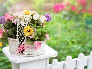 Обои цветы, природа, лето, забор, букет, корзина, flowers, nature, summer, the fence, bouquet, basket разрешение 3840x2400 Загрузить