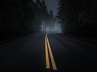 Обои дорога, ночь, лес, road, night, forest разрешение 1920x1080 Загрузить