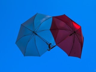 Обои зонт, голубая, краcный, неба, clear sky, влюбленная, ширма, umbrella, blue, red, sky, love, screen разрешение 5669x3769 Загрузить