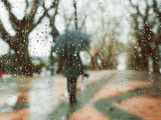 Обои деревья, девушка, капли, модель, дождь, зонт, rainy days, luis valadares, trees, girl, drops, model, rain, umbrella разрешение 1920x1280 Загрузить