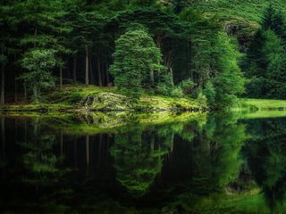 Обои деревья, река, природа, лес, отражение, trees, river, nature, forest, reflection разрешение 2880x1800 Загрузить