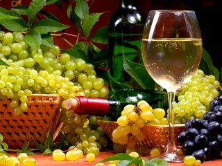 Обои виноград, вино, бутылка, бокалы, алкоголь, натюрморт, grapes, wine, bottle, glasses, alcohol, still life разрешение 1920x1200 Загрузить