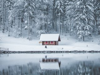 Обои снег, лес, зима, отражение, водоем, домик, snow, forest, winter, reflection, pond, house разрешение 3840x2160 Загрузить