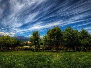 Обои небо, трава, облака, деревья, природа, зелень, пейзаж, the sky, grass, clouds, trees, nature, greens, landscape разрешение 5120x2880 Загрузить