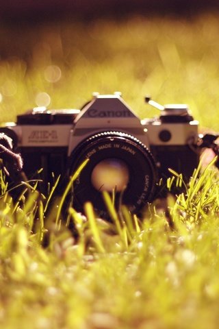 Обои трава, фотоаппарат, объектив, антиквариат, канон, grass, the camera, lens, antiques, canon разрешение 3855x2563 Загрузить