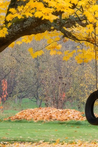 Обои листья, осень, колесо, leaves, autumn, wheel разрешение 1920x1080 Загрузить