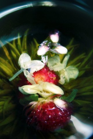 Обои цветок, темный фон, орхидея, стеклянная ваза, композиция, flower, the dark background, orchid, glass vase, composition разрешение 1920x1200 Загрузить