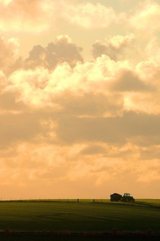 Обои небо, облака, поле, трактор, the sky, clouds, field, tractor разрешение 1920x1200 Загрузить