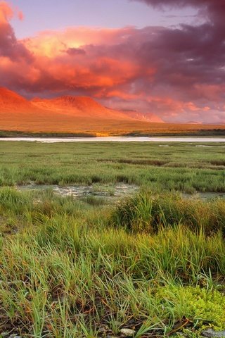 Обои трава, облака, горы, grass, clouds, mountains разрешение 1920x1200 Загрузить