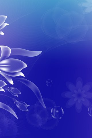 Обои цветочки, пузырики, на голубом фоне, flowers, bubbles, on a blue background разрешение 1920x1200 Загрузить