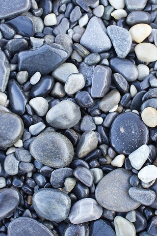 Обои камни, галька, текстура, фон, серая, stones, pebbles, texture, background, grey разрешение 1920x1200 Загрузить