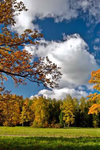 Обои небо, дорога, облака, осень, посадка, осен, the sky, road, clouds, autumn, landing разрешение 1920x1200 Загрузить