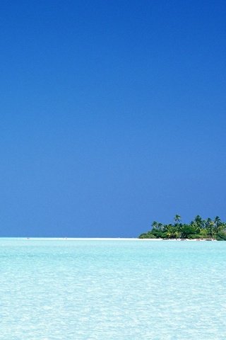 Обои небо, пальмы, океан, остров, the sky, palm trees, the ocean, island разрешение 1920x1200 Загрузить