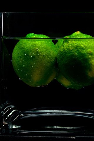 Обои вода, тень, черный фон, фрукт, лайм, стакан, жидкость, water, shadow, black background, fruit, lime, glass, liquid разрешение 2560x1600 Загрузить