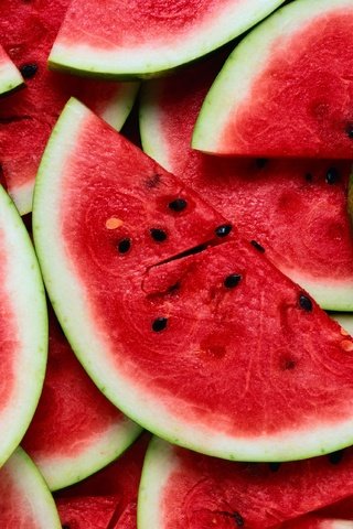 Обои лето, еда, арбуз, арбузы, большая ягода, summer, food, watermelon, watermelons, big berry разрешение 3884x2564 Загрузить