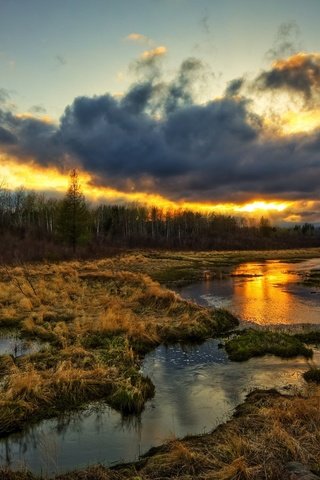 Обои трава, облака, вода, природа, болото, закат, тучи, ручей, grass, clouds, water, nature, swamp, sunset, stream разрешение 2560x1600 Загрузить