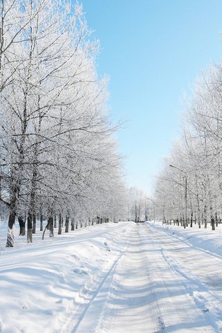 Обои дорога, деревья, снег, лес, зима, даль, road, trees, snow, forest, winter, dal разрешение 1920x1080 Загрузить