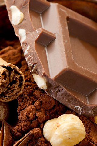 Обои орехи, еда, шоколад, сладкое, десерт, в шоколаде, какао, nuts, food, chocolate, sweet, dessert, cocoa разрешение 1920x1200 Загрузить