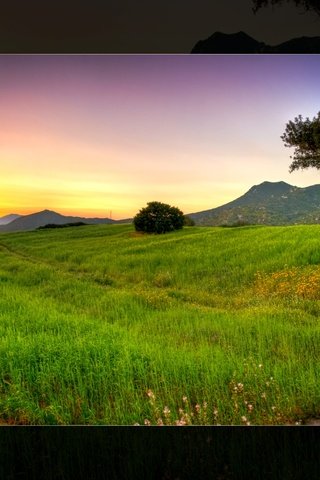 Обои небо, трава, закат солнца, лето, the sky, grass, sunset, summer разрешение 2048x1280 Загрузить
