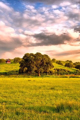 Обои небо, облака, горы, лес, пейзаж, поле, the sky, clouds, mountains, forest, landscape, field разрешение 1920x1080 Загрузить