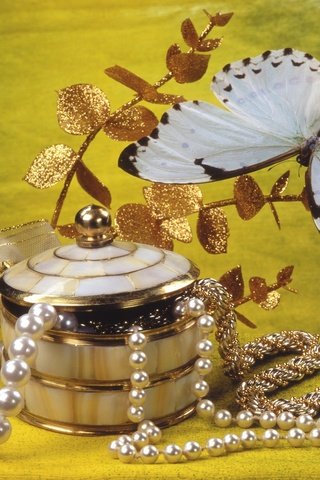 Обои украшения, бабочка, бусы, жемчуг, бижутерия, шкатулка, ювелирные изделия, decoration, butterfly, beads, pearl, jewelry, box разрешение 1920x1440 Загрузить