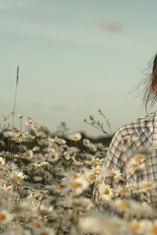 Обои девушка, лето, ромашки, girl, summer, chamomile разрешение 2560x1600 Загрузить