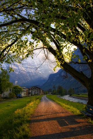 Обои дорога, деревья, вечер, швейцария, весна, road, trees, the evening, switzerland, spring разрешение 2560x1600 Загрузить