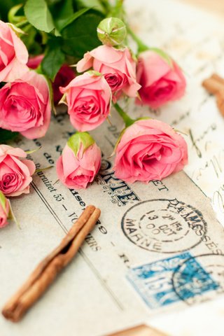 Обои cvety, rozovyj, cvetok, rozy, buket, bukety, pismo разрешение 1920x1260 Загрузить