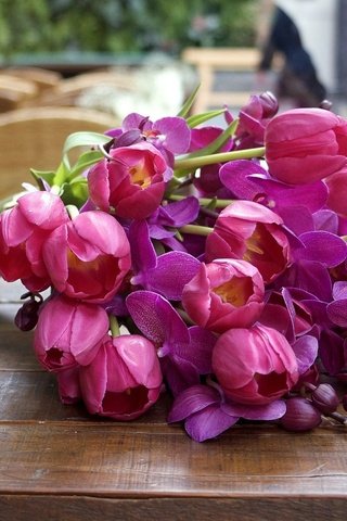 Обои леспестки, цветы, букет, тюльпаны, столик, орхидеи, cvety, listya, tyulpany, butony, orxidei, rozo, lepestki, flowers, bouquet, tulips, table, orchids разрешение 2000x1280 Загрузить