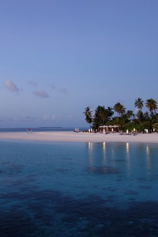 Обои море, пляж, пальмы, сумерки, мальдивы, sea, beach, palm trees, twilight, the maldives разрешение 5472x3648 Загрузить