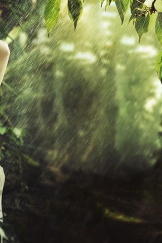 Обои природа, лес, девушка, брюнетка, дождь, nature, forest, girl, brunette, rain разрешение 2880x1800 Загрузить