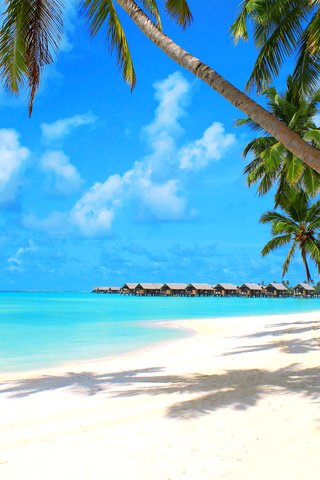 Обои море, пляж, бунгало, тропики, мальдивы, sea, beach, bungalow, tropics, the maldives разрешение 2560x1600 Загрузить