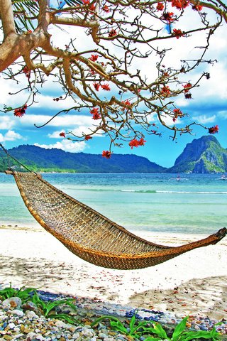 Обои море, пляж, гамак, тропики, sea, beach, hammock, tropics разрешение 9344x6208 Загрузить