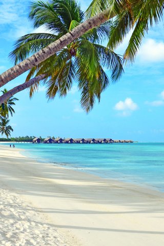 Обои море, пляж, отдых, тропики, мальдивы, sea, beach, stay, tropics, the maldives разрешение 4894x3212 Загрузить