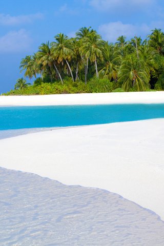 Обои море, пляж, отдых, остров, тропики, мальдивы, sea, beach, stay, island, tropics, the maldives разрешение 2400x1600 Загрузить