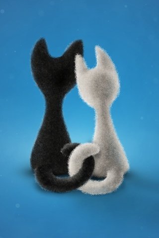 Обои фон, черный, белый, коты, котята сплелись хвостами, background, black, white, cats, kittens entwined tails разрешение 2560x1440 Загрузить
