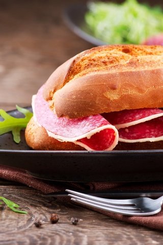 Обои еда, бутерброд, колбаса, булочка, сэндвич, салями, food, sandwich, sausage, bun, salami разрешение 2560x1600 Загрузить