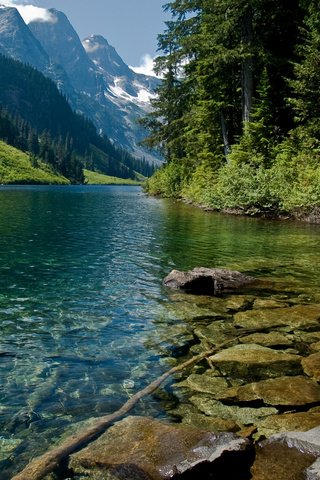 Обои деревья, вода, горы, природа, горная река, trees, water, mountains, nature, mountain river разрешение 2560x1600 Загрузить