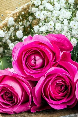 Обои розовые розы, pink roses разрешение 1920x1080 Загрузить