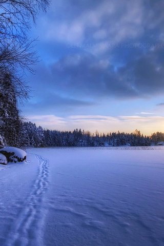 Обои снег, лес, закат, зима, snow, forest, sunset, winter разрешение 1920x1200 Загрузить