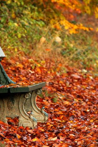 Обои парк, осень, скамейка, скамья, park, autumn, bench разрешение 4702x3242 Загрузить