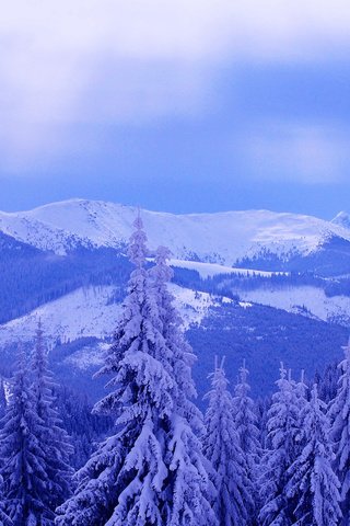 Обои деревья, горы, снег, зима, пейзаж, trees, mountains, snow, winter, landscape разрешение 2560x1607 Загрузить