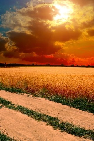 Обои небо, трава, облака, солнце, закат, поле, колосья, the sky, grass, clouds, the sun, sunset, field, ears разрешение 2560x1600 Загрузить