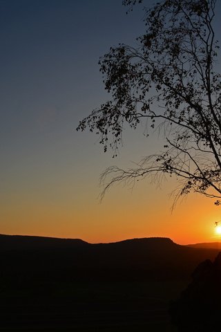 Обои небо, солнце, дерево, закат, силуэт, the sky, the sun, tree, sunset, silhouette разрешение 2048x1365 Загрузить