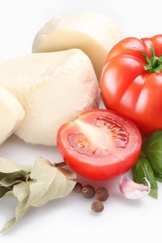 Обои сыр, белый фон, помидоры, томаты, чеснок, специи, моцарелла, cheese, white background, tomatoes, garlic, spices, mozzarella разрешение 1920x1486 Загрузить