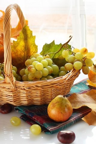 Обои листья, виноград, фрукты, осень, корзинка, груши, leaves, grapes, fruit, autumn, basket, pear разрешение 1920x1293 Загрузить