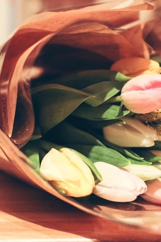 Обои цветы, букет, тюльпаны, flowers, bouquet, tulips разрешение 2304x1536 Загрузить