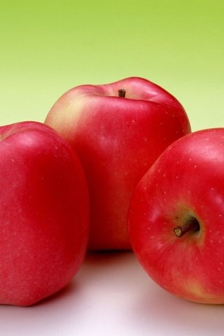 Обои фон, фрукты, яблоки, красные, плоды, background, fruit, apples, red разрешение 1920x1362 Загрузить