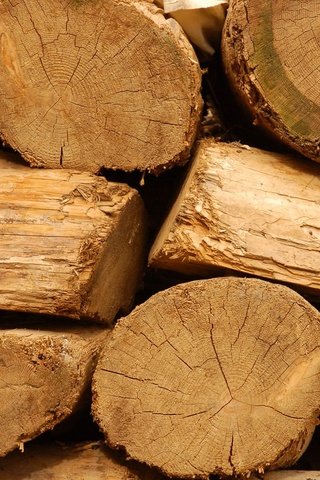 Обои дерево, текстура, доски, дрова, бревна, tree, texture, board, wood, logs разрешение 1920x1200 Загрузить